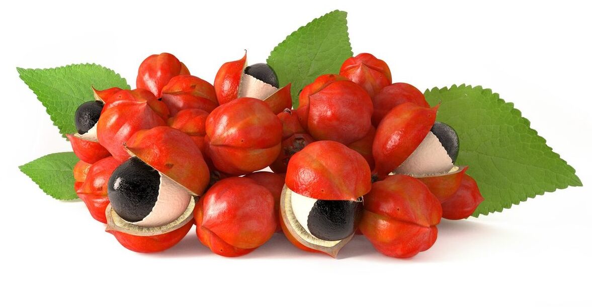 Estratto di semi di guarana in Abslim